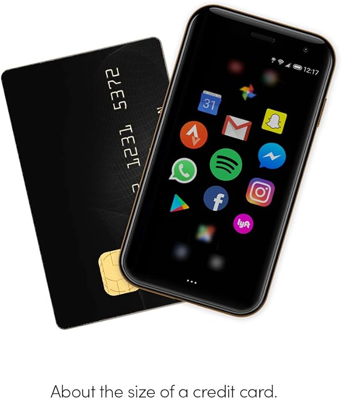 Palm P100