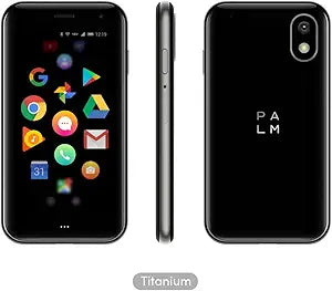 Palm P100
