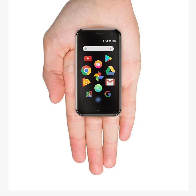 Palm P100