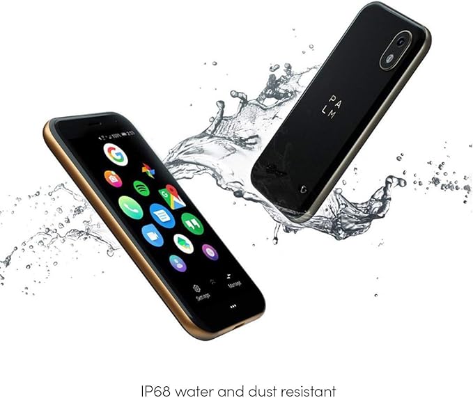 Palm P100