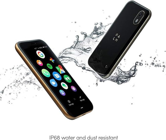 Palm P100